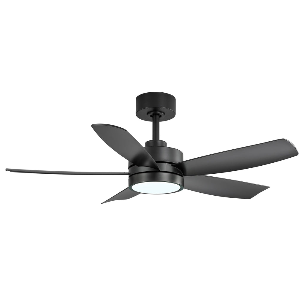 Breezary 65/52/42 5-Blade LED Ceiling Fan with Light Kit and Remote