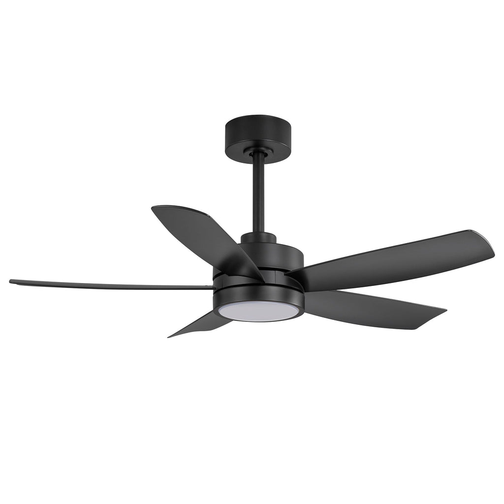 Breezary 65/52/42 5-Blade LED Ceiling Fan with Light Kit and Remote