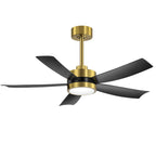 Breezary 65/52/42 5-Blade LED Ceiling Fan with Light Kit and Remote