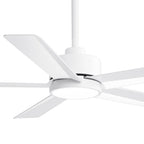 Breezary 65/52/42 5-Blade LED Ceiling Fan with Light Kit and Remote