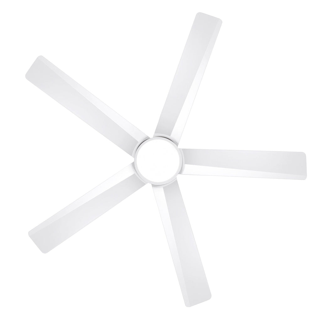 Breezary 65/52/42 5-Blade LED Ceiling Fan with Light Kit and Remote