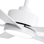 Breezary 65/52/42 5-Blade LED Ceiling Fan with Light Kit and Remote