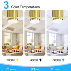 52 Inch Black/White Flush Mount LED Ceiling Fan with Lights Remote(3-Blade)