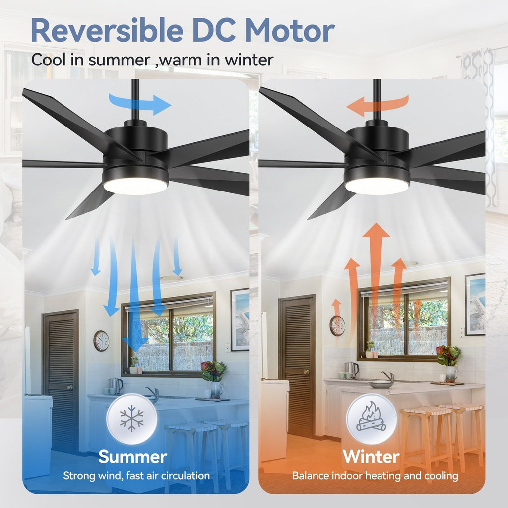 Breezary 65/52/42 5-Blade LED Ceiling Fan with Light Kit and Remote