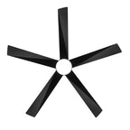 Breezary 65/52/42 5-Blade LED Ceiling Fan with Light Kit and Remote