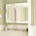 Bathroom Medicine Cabinet LED Mirror Anti-Fog 6000K Wall Cabinet White