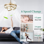 Cusp Barn 42 Retractable Ceiling Fan with Lights and Remote DIY Shape Fandelier Modern Silent DC Motor LED Ceiling Light