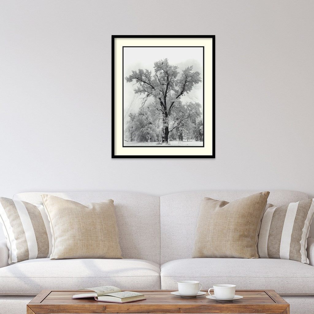 Framed Art Print 'Oak Tree, Snowstorm, Yosemite National Park-1948' by Ansel Adams 27 x 32-inch
