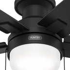 Hunter 52 Anisten Low Profile Ceiling Fan with LED Light and Pull Chain - Modern, Contemporary, Transitional