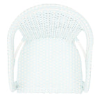 SAFAVIEH Doreth Arm Chair (Set of 2) - 23Wx36Dx25H