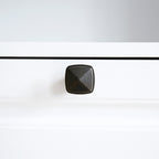 Roomfitters Dog Feeding Station with 2 Elevated Dog Bowls, Tilt Out Pet Feeding Cabinet Station